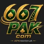 667PAK Game Logo