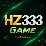 HZ333 Game