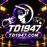 TD1947 Game