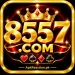 8557 Game Logo