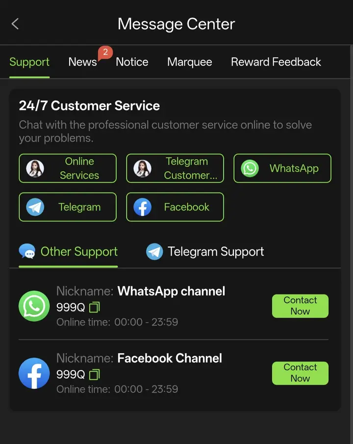 999Q Game Support