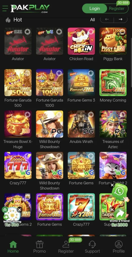 PAKPLAY Game image
