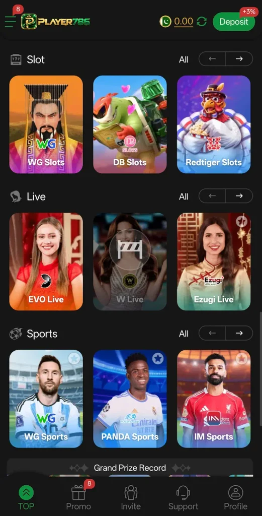 Player786 Game category